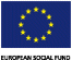 EU Flag